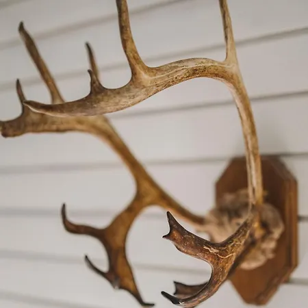 67°n Lapland Lodge Äkäslompolo