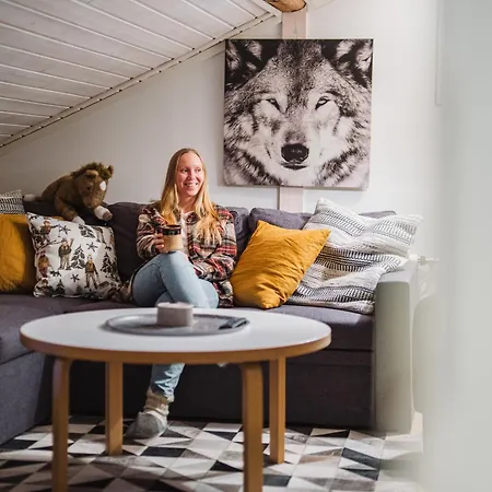 67°n Lapland Деревянный коттедж