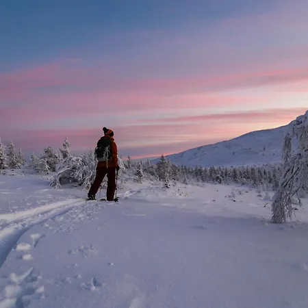 67°n Lapland Lodge *