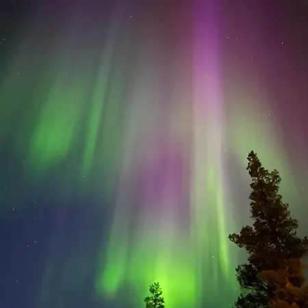 67°n Lapland *