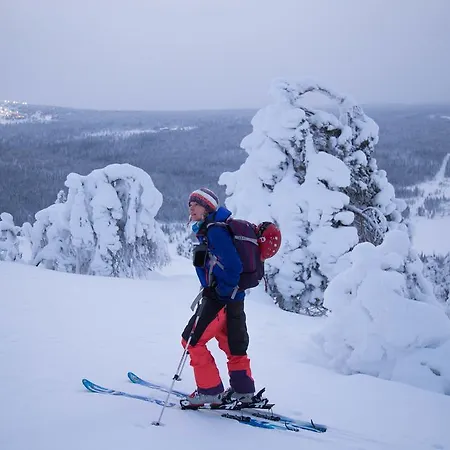 67°n Lapland *